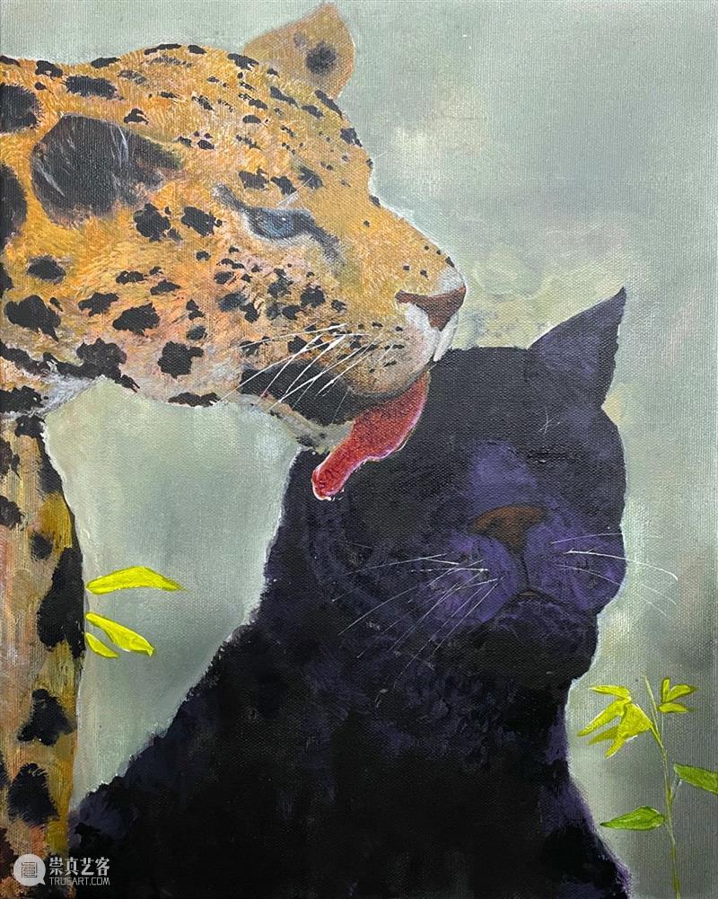 M50展览 | 「救猫咯！那狗呢？」艺术品义卖展 | 睿品画廊 艺术品 睿品 画廊 义卖展 海报 寒潮 大地 上海 零下 流浪猫 崇真艺客