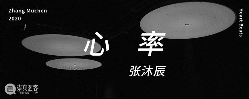 时代·艺术家| 张沐辰：是心动还是水动？ 艺术家 张沐辰 时代 心率 视频 坎坎 伐檀 河水 涟猗 水面 崇真艺客