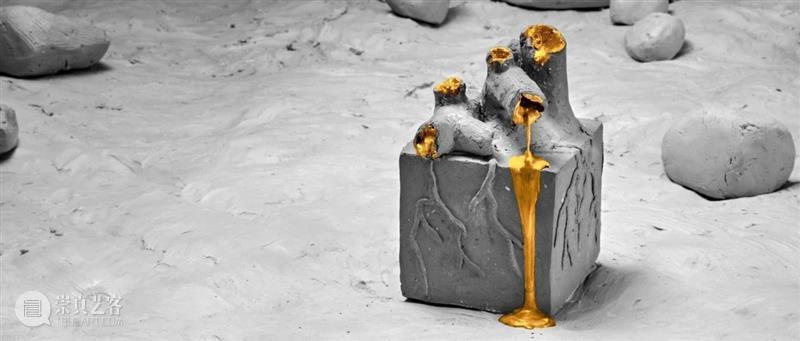 时代·艺术家| 张沐辰：是心动还是水动？ 艺术家 张沐辰 时代 心率 视频 坎坎 伐檀 河水 涟猗 水面 崇真艺客