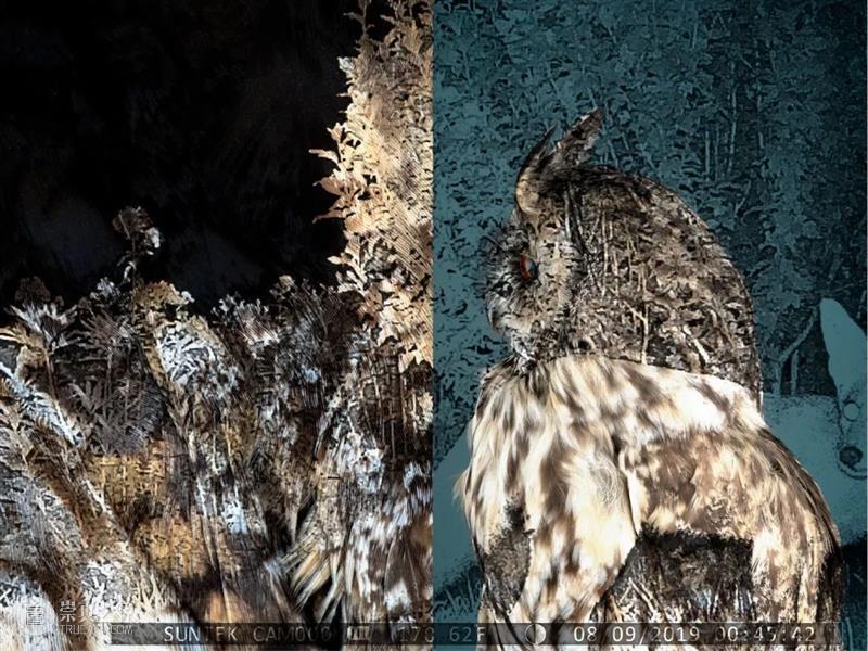 神秘的空间｜“摄影，作为21世纪的视觉法则”论坛回顾 视觉 法则 空间 论坛 艺术家 线上 系列 日期 嘉宾 奥尔加 崇真艺客