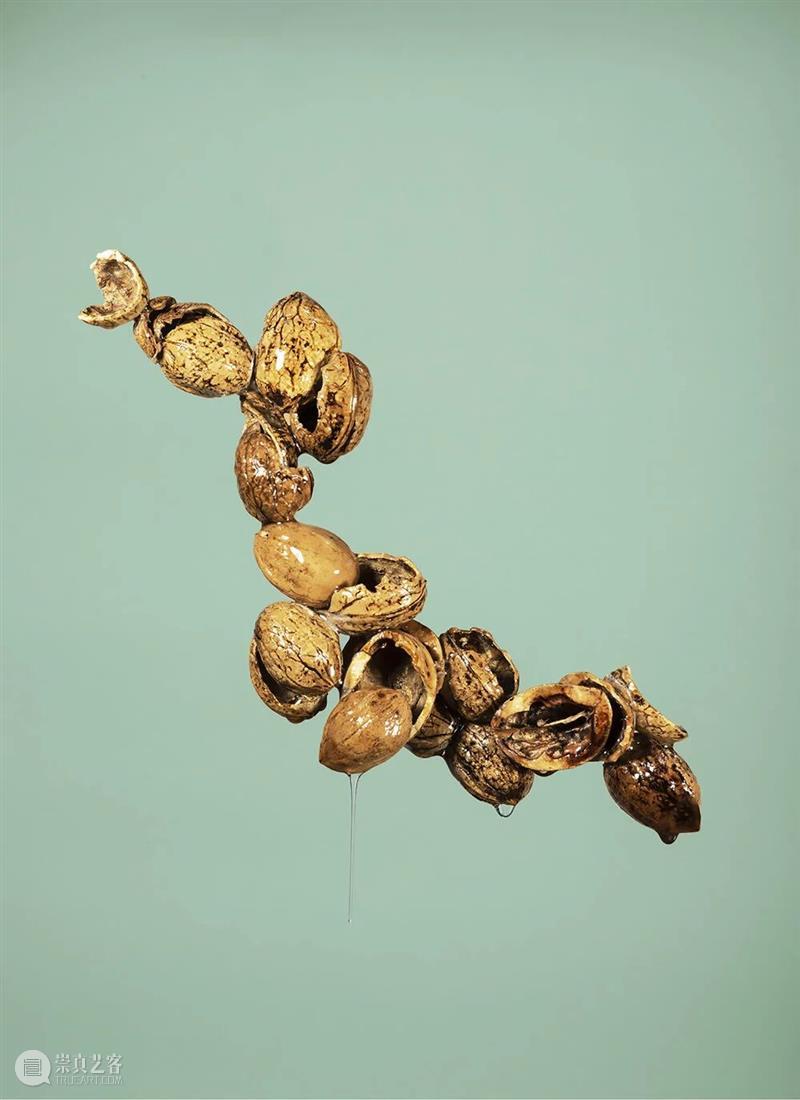 神秘的空间｜“摄影，作为21世纪的视觉法则”论坛回顾 视觉 法则 空间 论坛 艺术家 线上 系列 日期 嘉宾 奥尔加 崇真艺客