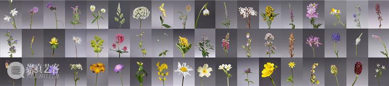 神秘的空间｜“摄影，作为21世纪的视觉法则”论坛回顾 视觉 法则 空间 论坛 艺术家 线上 系列 日期 嘉宾 奥尔加 崇真艺客