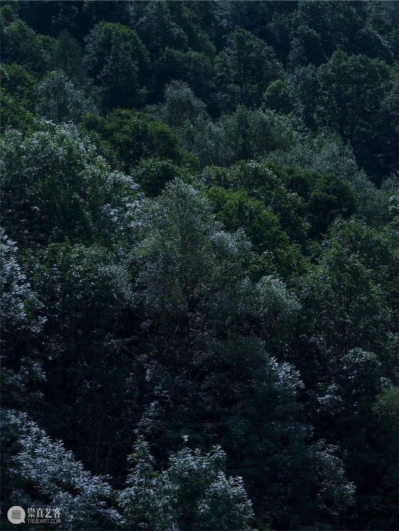 神秘的空间｜“摄影，作为21世纪的视觉法则”论坛回顾 视觉 法则 空间 论坛 艺术家 线上 系列 日期 嘉宾 奥尔加 崇真艺客