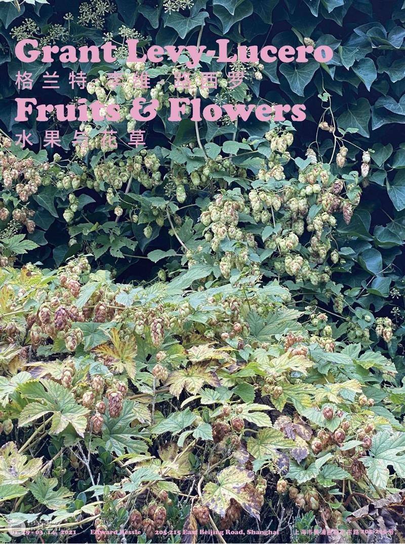GRANT LEVY LUCERO: FRUITS & FLOWERS 崇真艺客