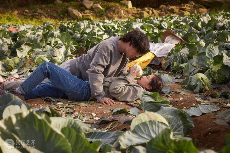 SFM•学术赏｜烟雾四起，僵尸来了！  电博君 烟雾 僵尸 SFM 学术 世界 这个世界 经历 星辰 日月 大泽 崇真艺客