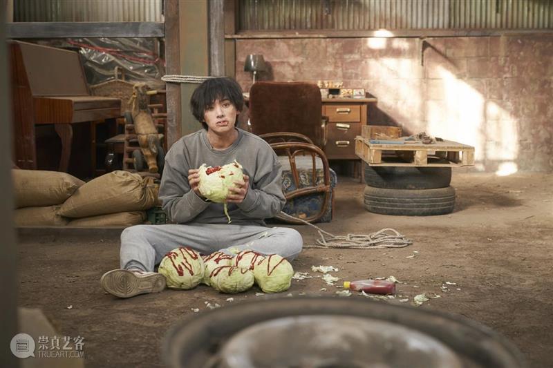 SFM•学术赏｜烟雾四起，僵尸来了！  电博君 烟雾 僵尸 SFM 学术 世界 这个世界 经历 星辰 日月 大泽 崇真艺客