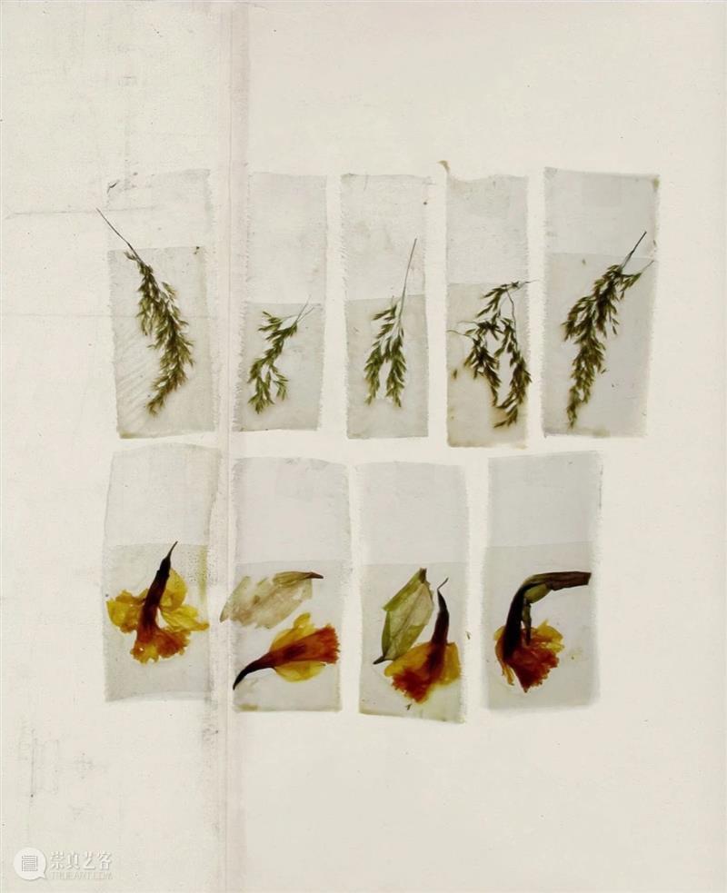 【IFA-艺术赏析】Beatrice Oettinger|把种子和花瓣种在身上 Oettinger 种子 艺术 花瓣 IFA 身上 德国 材料 设计师 纺织 崇真艺客