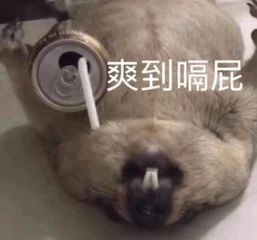 《黑客帝国4》片名曝光；IU加盟是枝裕和新片 黑客帝国4 片名 是枝裕和 新片 影视 好剧 小豆 化妆师 Shunika Terry 崇真艺客
