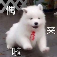 《黑客帝国4》片名曝光；IU加盟是枝裕和新片 黑客帝国4 片名 是枝裕和 新片 影视 好剧 小豆 化妆师 Shunika Terry 崇真艺客