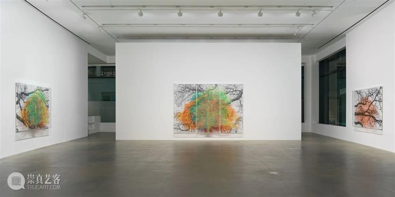 H&W展览:查尔斯·盖恩斯英国首展「复数的自然、树木与面孔」正于线上展出 查尔斯 盖恩斯 英国 树木 面孔 复数 自然 线上 首展 豪瑟 崇真艺客