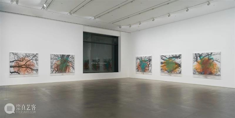H&W展览:查尔斯·盖恩斯英国首展「复数的自然、树木与面孔」正于线上展出 查尔斯 盖恩斯 英国 树木 面孔 复数 自然 线上 首展 豪瑟 崇真艺客