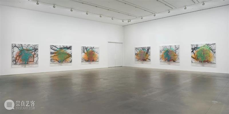 H&W展览:查尔斯·盖恩斯英国首展「复数的自然、树木与面孔」正于线上展出 查尔斯 盖恩斯 英国 树木 面孔 复数 自然 线上 首展 豪瑟 崇真艺客