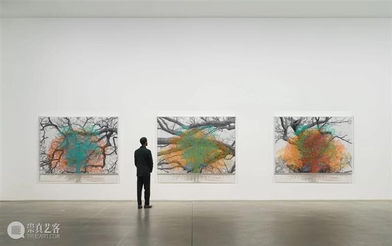 H&W展览:查尔斯·盖恩斯英国首展「复数的自然、树木与面孔」正于线上展出 查尔斯 盖恩斯 英国 树木 面孔 复数 自然 线上 首展 豪瑟 崇真艺客