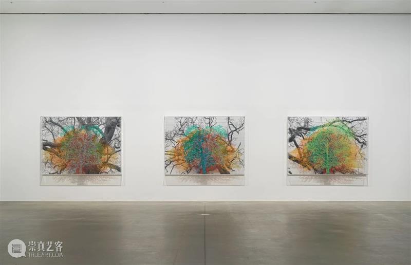 H&W展览:查尔斯·盖恩斯英国首展「复数的自然、树木与面孔」正于线上展出 查尔斯 盖恩斯 英国 树木 面孔 复数 自然 线上 首展 豪瑟 崇真艺客