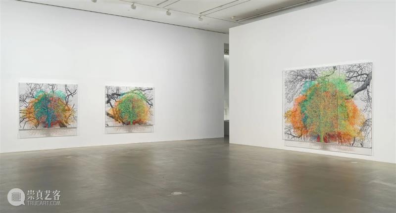 H&W展览:查尔斯·盖恩斯英国首展「复数的自然、树木与面孔」正于线上展出 查尔斯 盖恩斯 英国 树木 面孔 复数 自然 线上 首展 豪瑟 崇真艺客