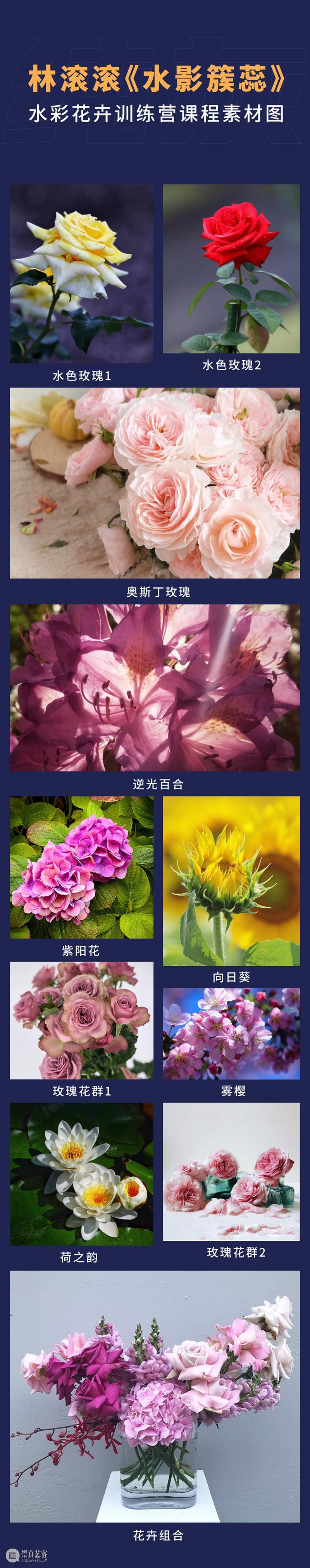 如何让水彩花卉富有韵律、诗意流动？ 水彩 花卉 诗意 韵律 艺术 潜能 美术 专业 女王 背后 崇真艺客