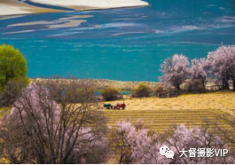 2021年春季西藏林芝山南环线 大督摄影VIP创作团 西藏 林芝山南 环线 大督摄影VIP创作团 拉萨 巴松措 林芝 雅鲁藏布江大峡谷 圣城 日出 崇真艺客