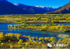 2021年春季西藏林芝山南环线 大督摄影VIP创作团 西藏 林芝山南 环线 大督摄影VIP创作团 拉萨 巴松措 林芝 雅鲁藏布江大峡谷 圣城 日出 崇真艺客