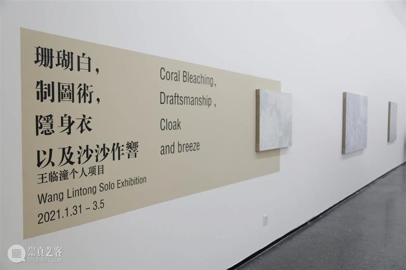 展览开展|“王临潼：珊瑚白，制图术，隐身衣以及沙沙作响”展览在西安美术馆展出 王临潼 珊瑚 制图术 隐身衣 西安美术馆 青年 艺术家 项目 系列 杨超馆长 崇真艺客