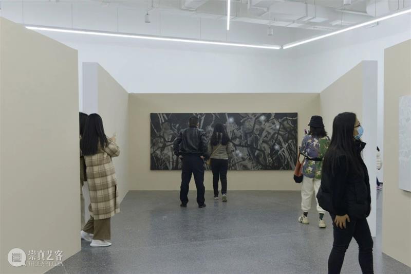 展览开展|“王临潼：珊瑚白，制图术，隐身衣以及沙沙作响”展览在西安美术馆展出 王临潼 珊瑚 制图术 隐身衣 西安美术馆 青年 艺术家 项目 系列 杨超馆长 崇真艺客