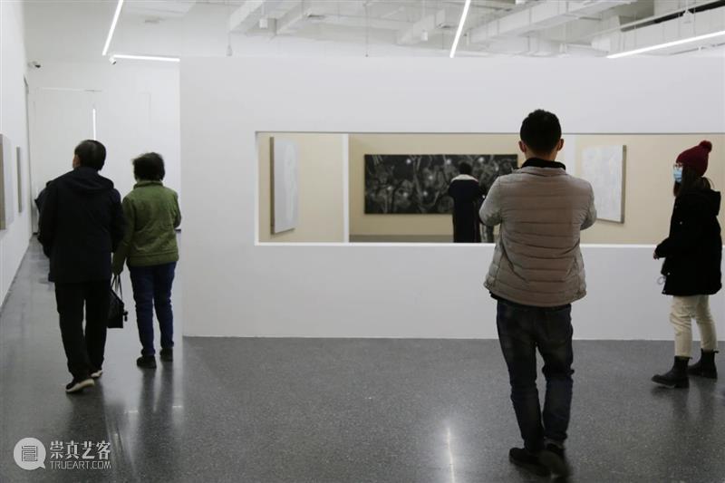 展览开展|“王临潼：珊瑚白，制图术，隐身衣以及沙沙作响”展览在西安美术馆展出 王临潼 珊瑚 制图术 隐身衣 西安美术馆 青年 艺术家 项目 系列 杨超馆长 崇真艺客