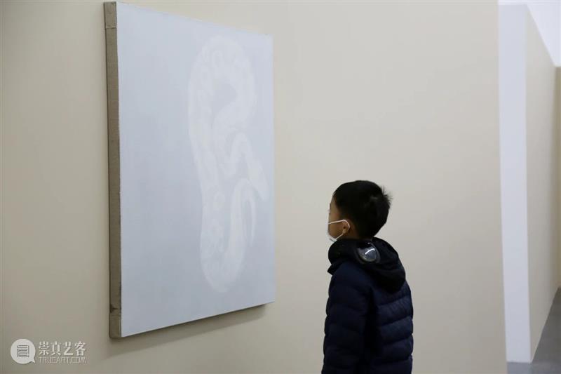展览开展|“王临潼：珊瑚白，制图术，隐身衣以及沙沙作响”展览在西安美术馆展出 王临潼 珊瑚 制图术 隐身衣 西安美术馆 青年 艺术家 项目 系列 杨超馆长 崇真艺客