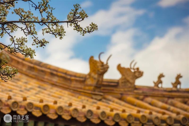 这很可能是喜马拉雅2021年最重磅的一堂中国文化课 喜马拉雅 中国 文化 哈佛 普林斯顿 斯坦福 麻省理工 法兰克福 欧美 名校 崇真艺客