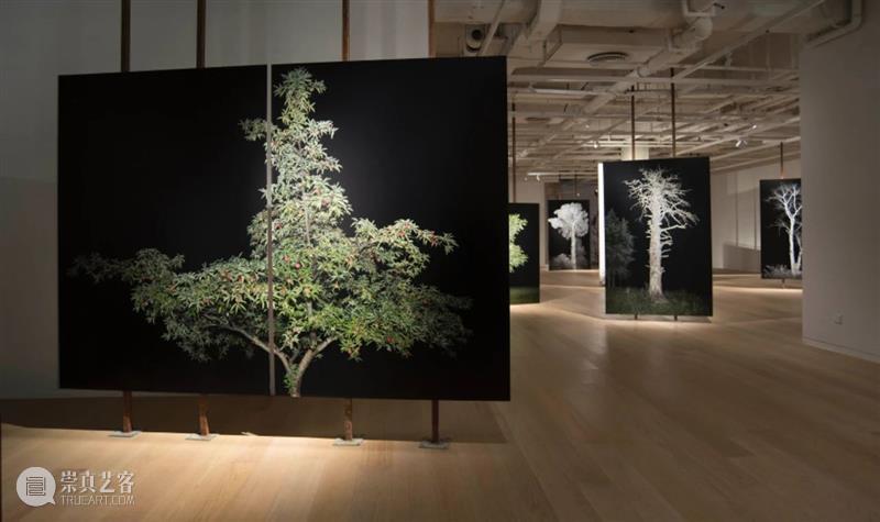 CGK展览回顾|李季:树 李季 CGK 昆明 当代美术馆 艺术家 李季策展人 崔灿灿 展厅 现场 事情 崇真艺客