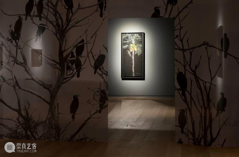 CGK展览回顾|李季:树 李季 CGK 昆明 当代美术馆 艺术家 李季策展人 崔灿灿 展厅 现场 事情 崇真艺客