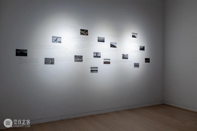 CGK展览回顾|李季:树 李季 CGK 昆明 当代美术馆 艺术家 李季策展人 崔灿灿 展厅 现场 事情 崇真艺客
