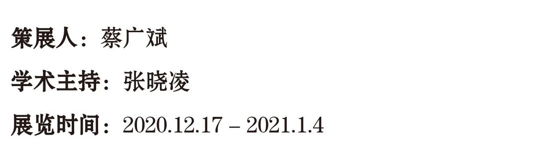 艺术家年度动态 | 张浩 2020 张浩 艺术家 年度 动态 南京师范大学美术学院美术馆 南京 详情 展讯 未来 历史学 崇真艺客