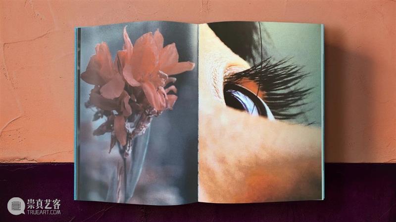Bromide Books：好的摄影书不会只是一项点缀或一个整体的补充 博文精选 PHOTOFAIRS Books 整体 书籍 橱柜记忆 Cupboard Memories 淡季 Off Season 省略 崇真艺客