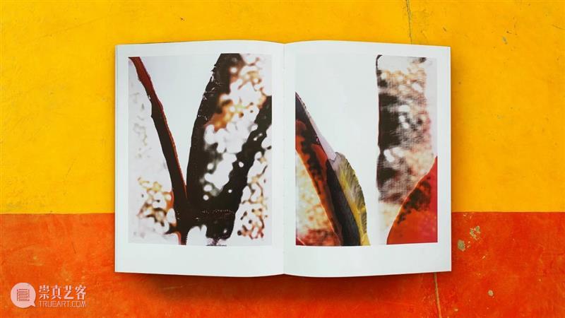 Bromide Books：好的摄影书不会只是一项点缀或一个整体的补充 博文精选 PHOTOFAIRS Books 整体 书籍 橱柜记忆 Cupboard Memories 淡季 Off Season 省略 崇真艺客