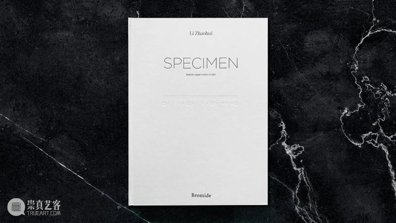 Bromide Books：好的摄影书不会只是一项点缀或一个整体的补充 博文精选 PHOTOFAIRS Books 整体 书籍 橱柜记忆 Cupboard Memories 淡季 Off Season 省略 崇真艺客