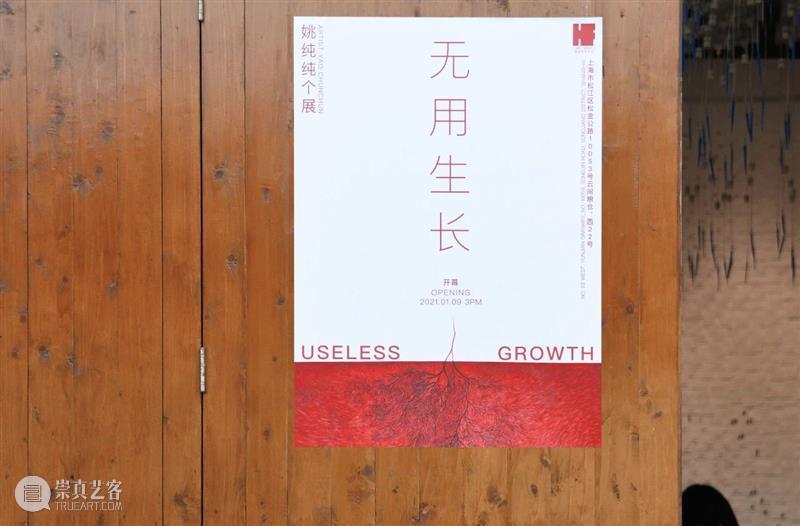 展览回顾 | 姚纯纯个展《无用生长》 姚纯纯 个展 无用生长 GROWTH Yao 艺术 中心 绘画 纤维 装置 崇真艺客