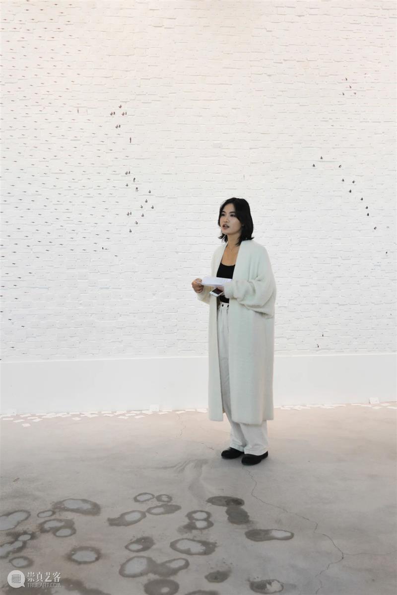 展览回顾 | 姚纯纯个展《无用生长》 姚纯纯 个展 无用生长 GROWTH Yao 艺术 中心 绘画 纤维 装置 崇真艺客