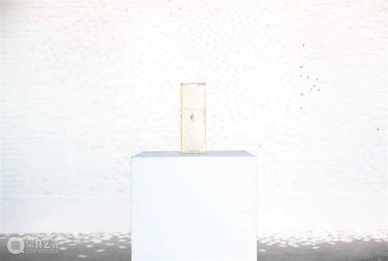 展览回顾 | 姚纯纯个展《无用生长》 姚纯纯 个展 无用生长 GROWTH Yao 艺术 中心 绘画 纤维 装置 崇真艺客
