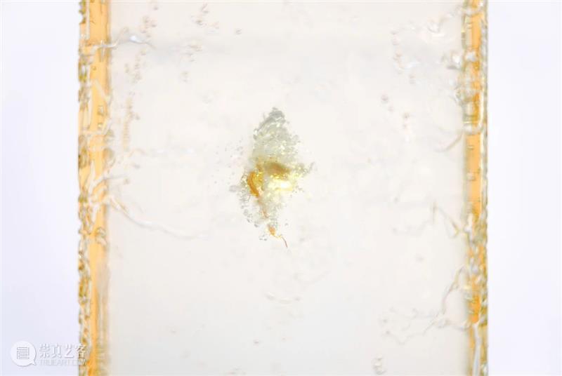 展览回顾 | 姚纯纯个展《无用生长》 姚纯纯 个展 无用生长 GROWTH Yao 艺术 中心 绘画 纤维 装置 崇真艺客