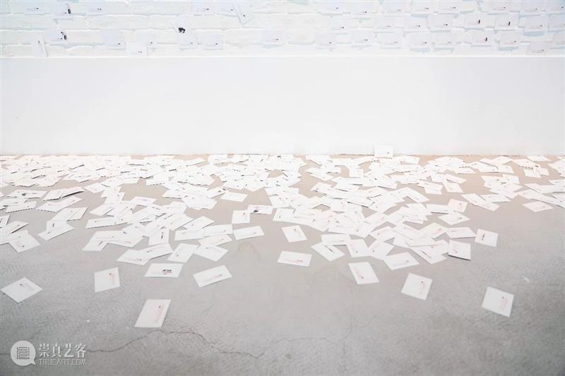展览回顾 | 姚纯纯个展《无用生长》 姚纯纯 个展 无用生长 GROWTH Yao 艺术 中心 绘画 纤维 装置 崇真艺客
