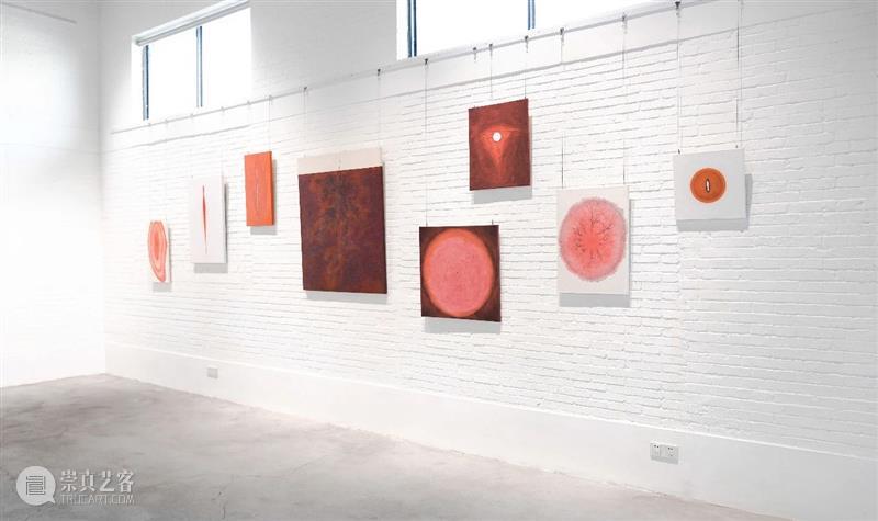 展览回顾 | 姚纯纯个展《无用生长》 姚纯纯 个展 无用生长 GROWTH Yao 艺术 中心 绘画 纤维 装置 崇真艺客