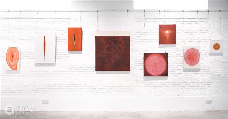展览回顾 | 姚纯纯个展《无用生长》 姚纯纯 个展 无用生长 GROWTH Yao 艺术 中心 绘画 纤维 装置 崇真艺客