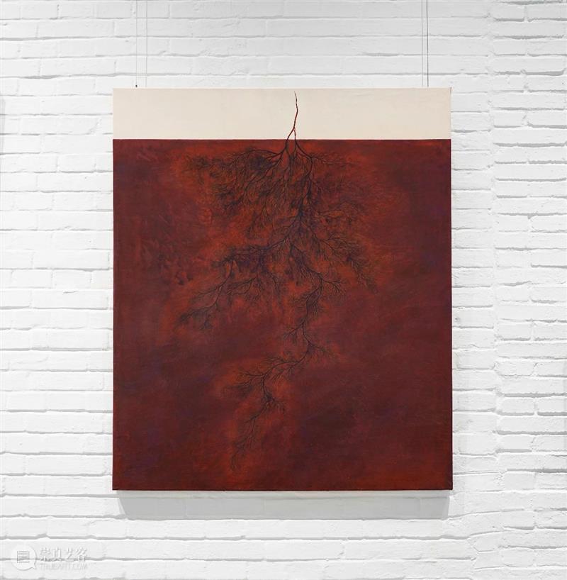 展览回顾 | 姚纯纯个展《无用生长》 姚纯纯 个展 无用生长 GROWTH Yao 艺术 中心 绘画 纤维 装置 崇真艺客