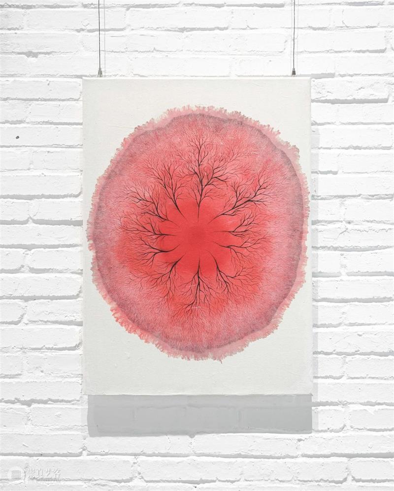 展览回顾 | 姚纯纯个展《无用生长》 姚纯纯 个展 无用生长 GROWTH Yao 艺术 中心 绘画 纤维 装置 崇真艺客