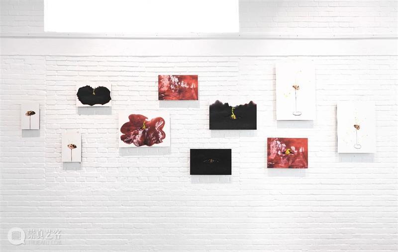 展览回顾 | 姚纯纯个展《无用生长》 姚纯纯 个展 无用生长 GROWTH Yao 艺术 中心 绘画 纤维 装置 崇真艺客