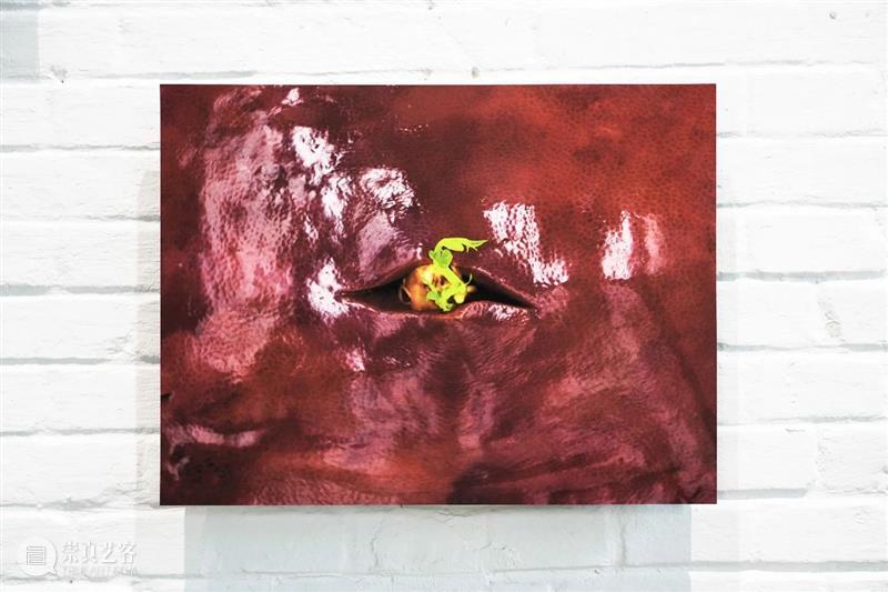 展览回顾 | 姚纯纯个展《无用生长》 姚纯纯 个展 无用生长 GROWTH Yao 艺术 中心 绘画 纤维 装置 崇真艺客