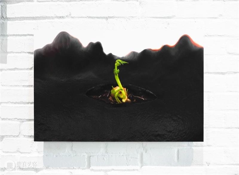 展览回顾 | 姚纯纯个展《无用生长》 姚纯纯 个展 无用生长 GROWTH Yao 艺术 中心 绘画 纤维 装置 崇真艺客
