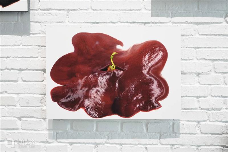展览回顾 | 姚纯纯个展《无用生长》 姚纯纯 个展 无用生长 GROWTH Yao 艺术 中心 绘画 纤维 装置 崇真艺客