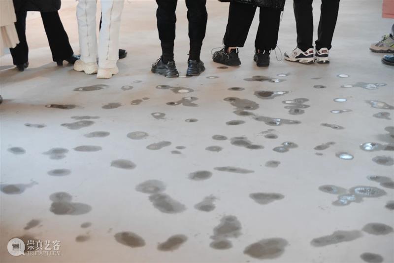 展览回顾 | 姚纯纯个展《无用生长》 姚纯纯 个展 无用生长 GROWTH Yao 艺术 中心 绘画 纤维 装置 崇真艺客