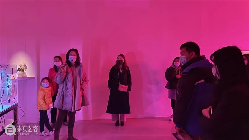 HOW Q&A|关于暗光的观众提问 暗光 观众 海报 灵感 Oursler 要素 展期 艺术家 乌拉 勃兰登堡 崇真艺客