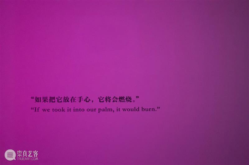 HOW Q&A|关于暗光的观众提问 暗光 观众 海报 灵感 Oursler 要素 展期 艺术家 乌拉 勃兰登堡 崇真艺客